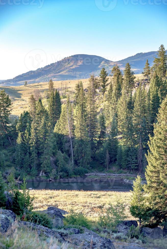 View from Calcite Springs Overlook of the Yellowstone River. photo