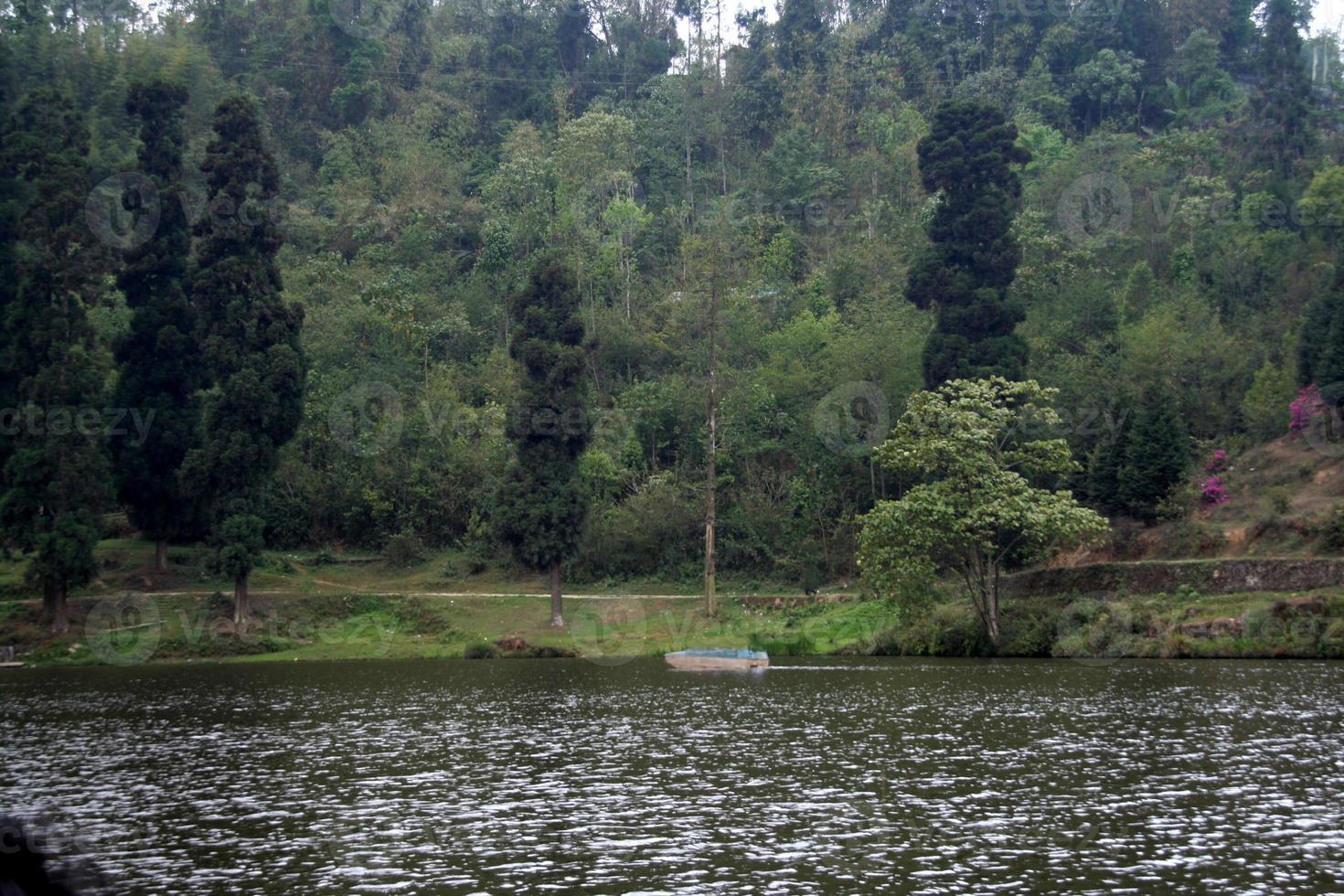 lago en el bosque foto