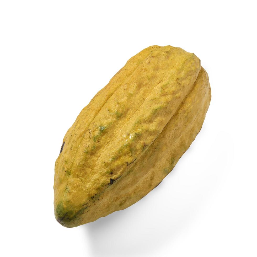 Fresh yellow cocoa pod isolated on white background photo