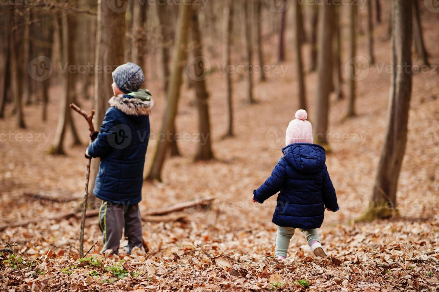 inteligente carrete insuficiente el niño usa chaqueta y sombrero con su hermana en el bosque de principios  de primavera. 9260509 Foto de stock en Vecteezy