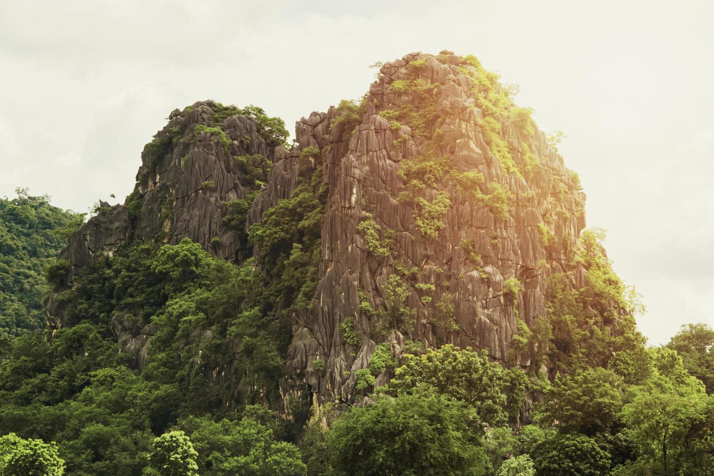 rock mountain hill with  green forest isolate on white background photo