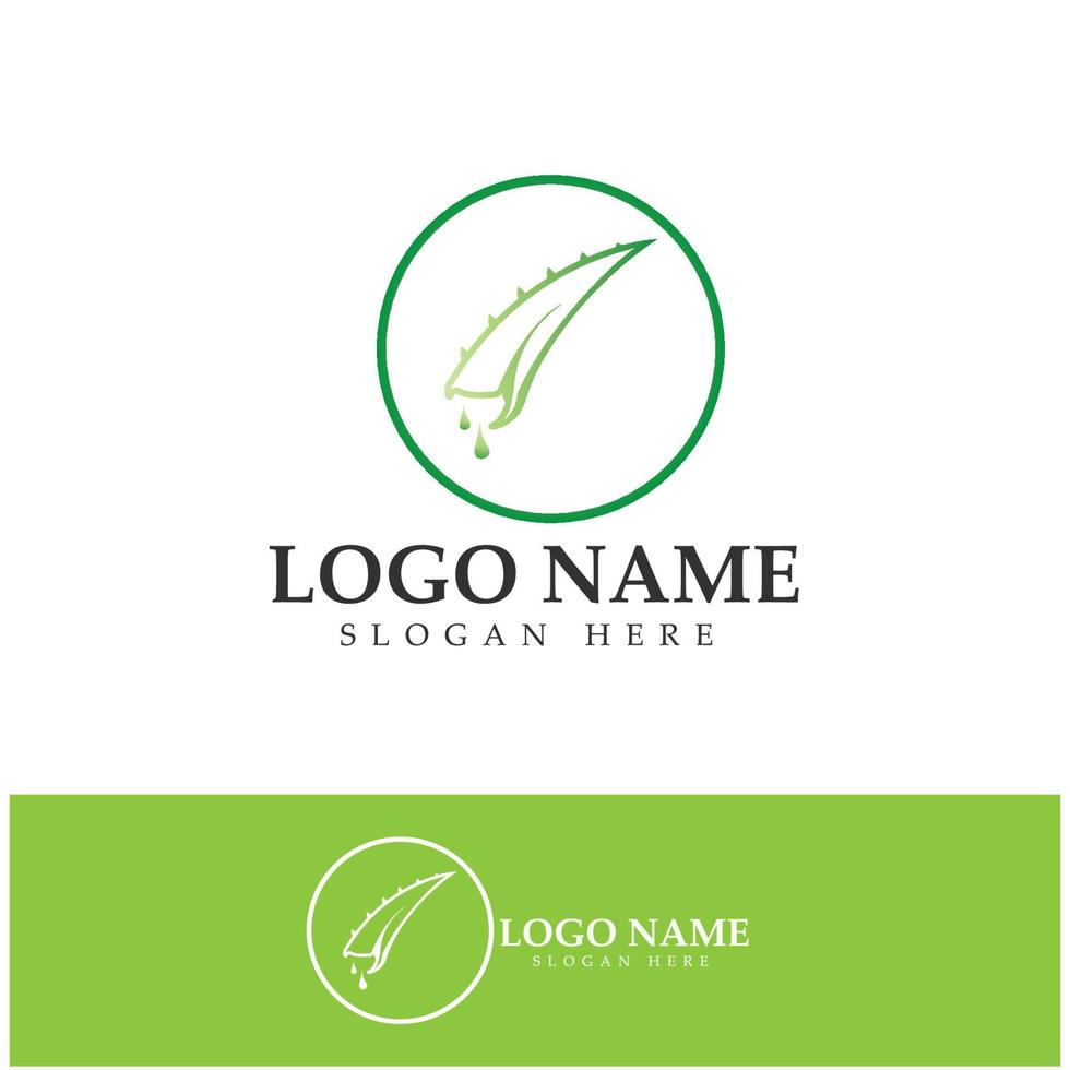 aloe vera logo icon illustration vector