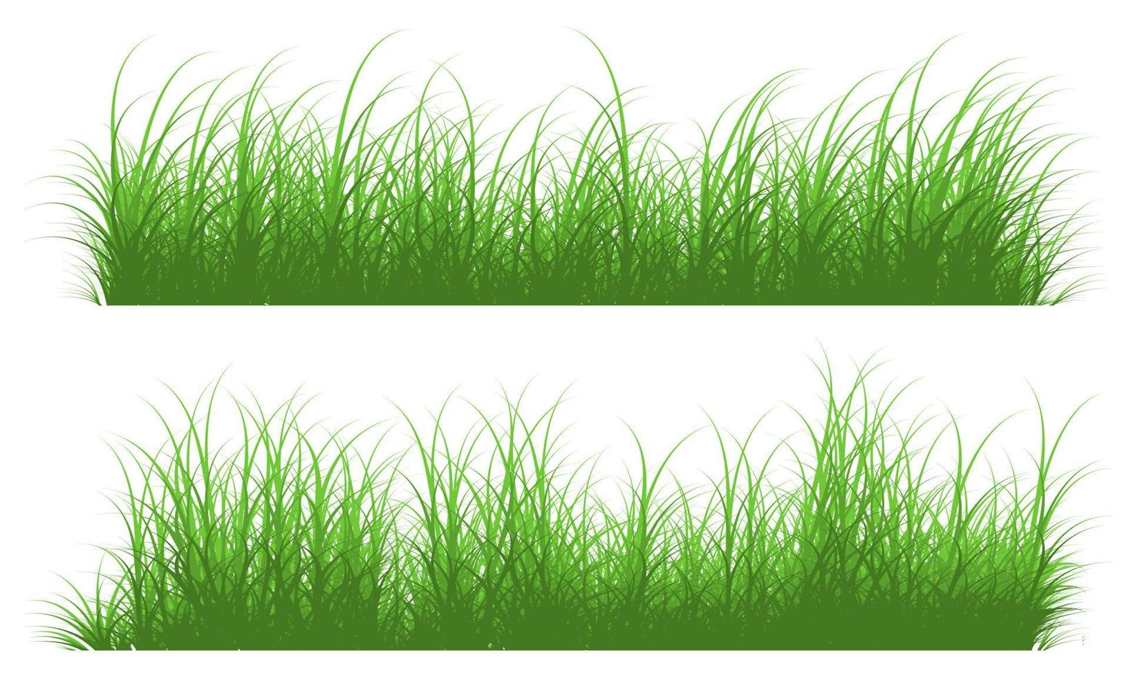 tall grass vector free