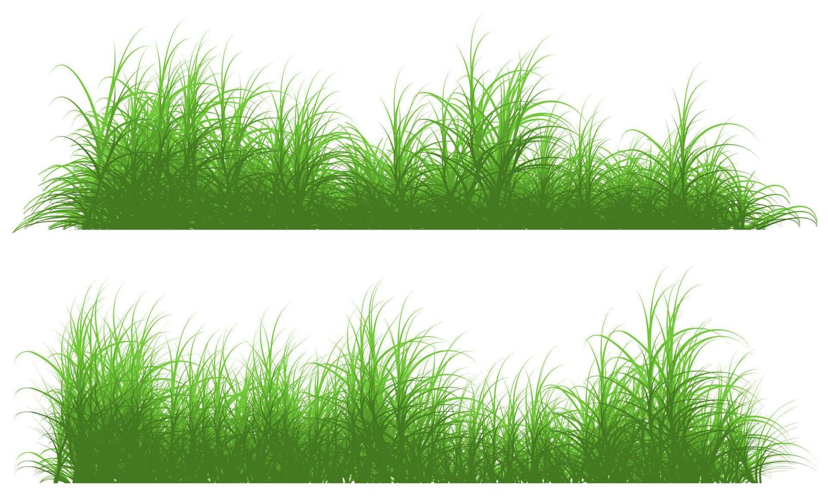 tall grass vector