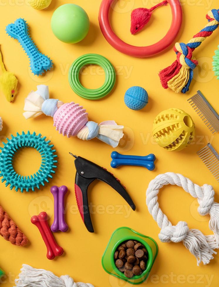 Pet care concept, various pet accessories and tools on yellow background, flat lay photo