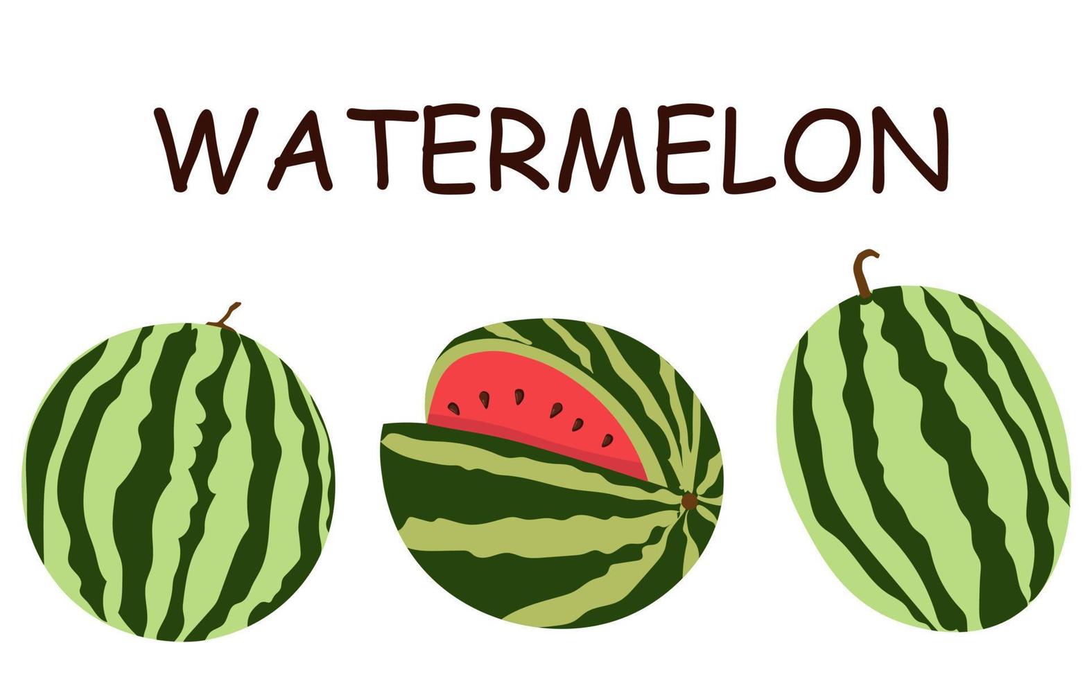 Set of vector illustrations of flat watermelon. Whole watermelon, cut watermelon, watermelon slices