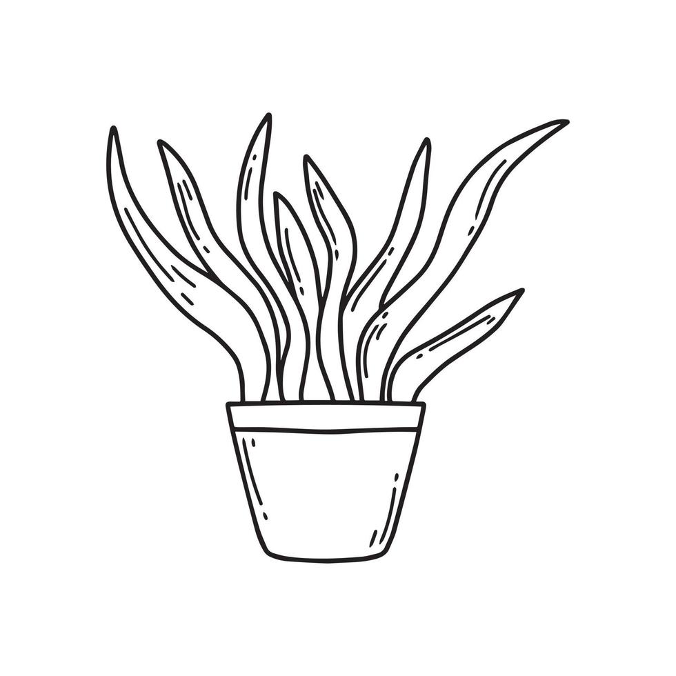 Houseplant in a pot. Nice houseplant. A beautiful plant. Vector illustration in doodle style.