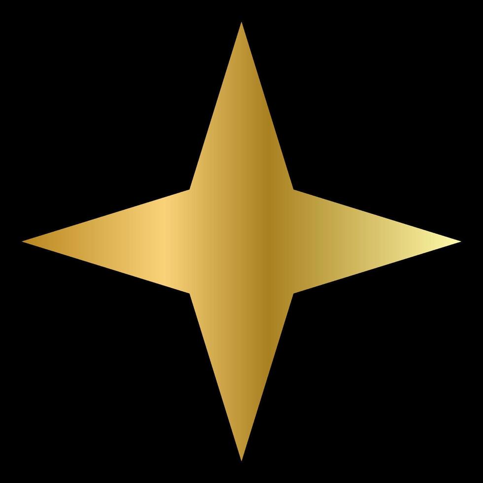 Golden Star on The Black Background. EPS10 vector