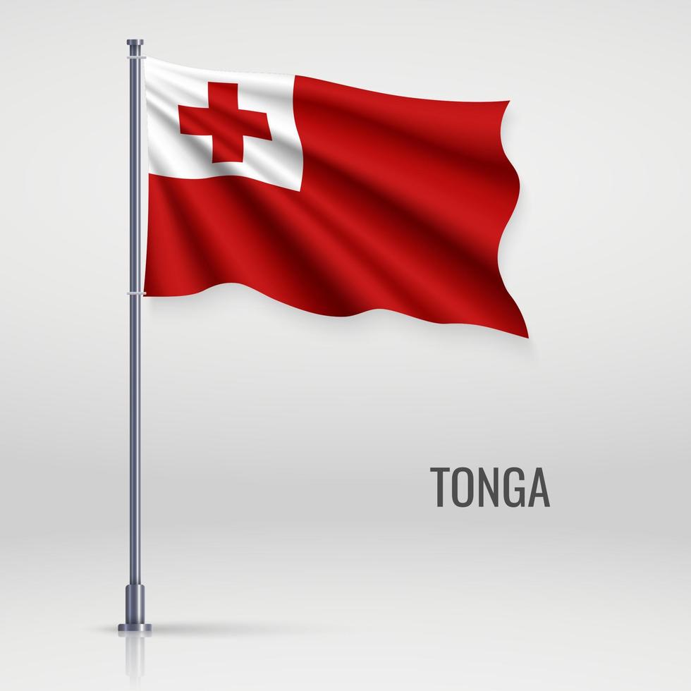 Waving flag on flagpole vector