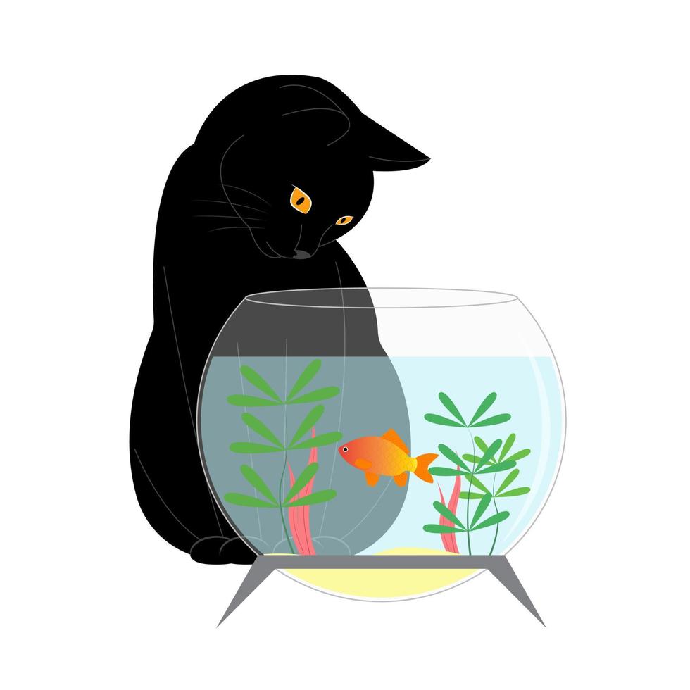 A black cat looks at a goldfish in an aquarium. Cute black cat near the aquarium. Vector illustration isolated on white background