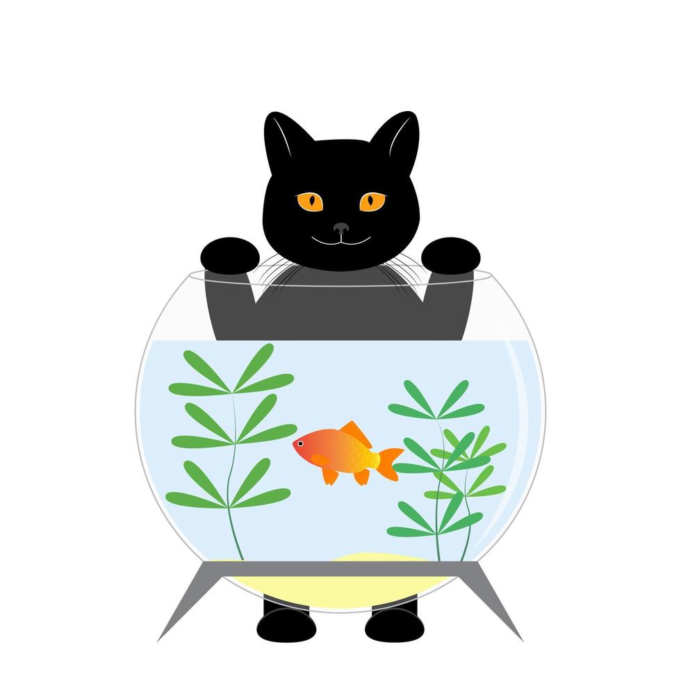 el gato negro está detrás del acuario. el gato quiere atrapar un pez dorado. lindo personaje de gato. ilustración vectorial para niños. impresión vector