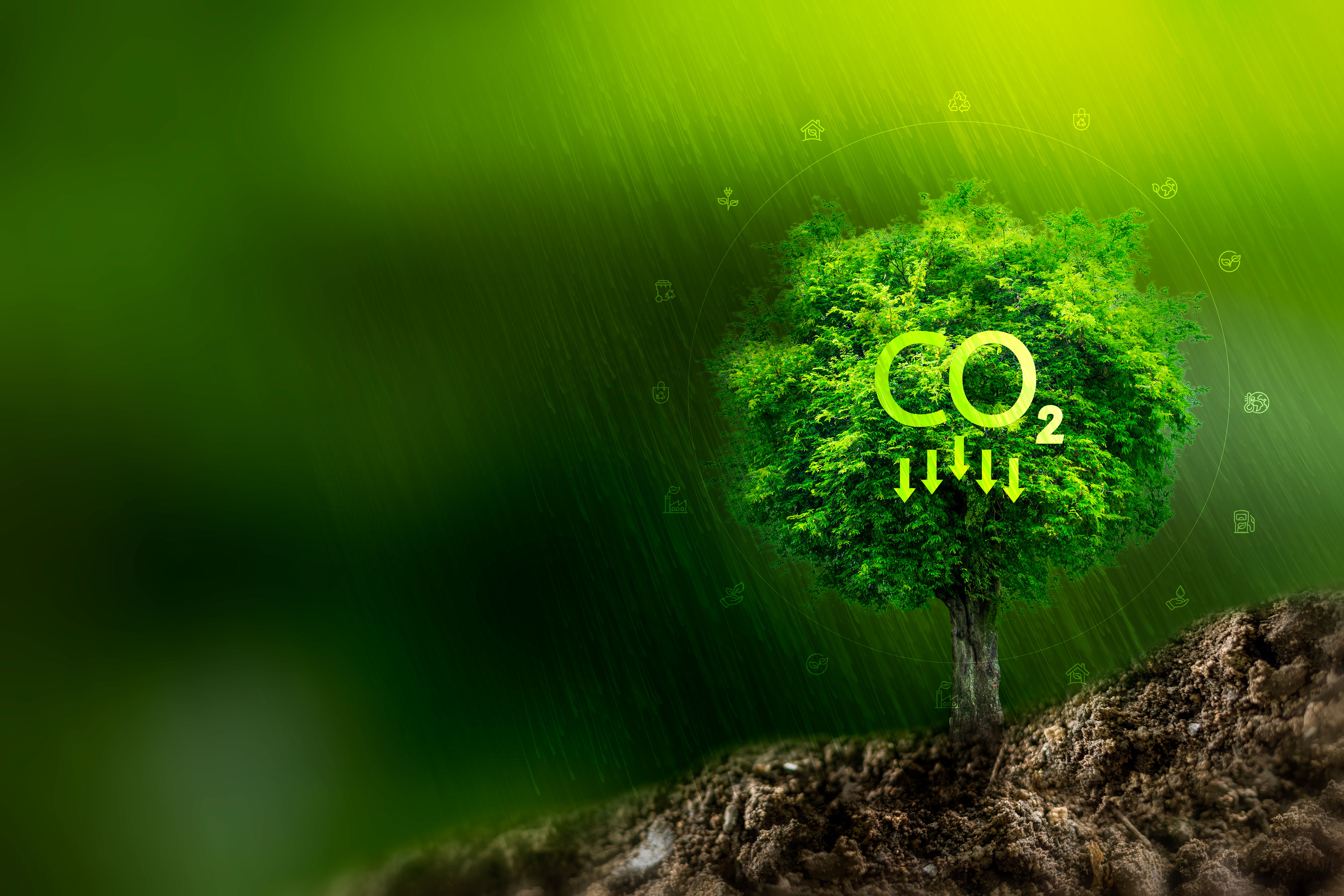 Sustainability Of The Future HD wallpaper  Pxfuel