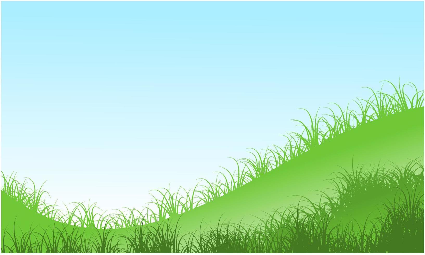 grass hill, grass field vector