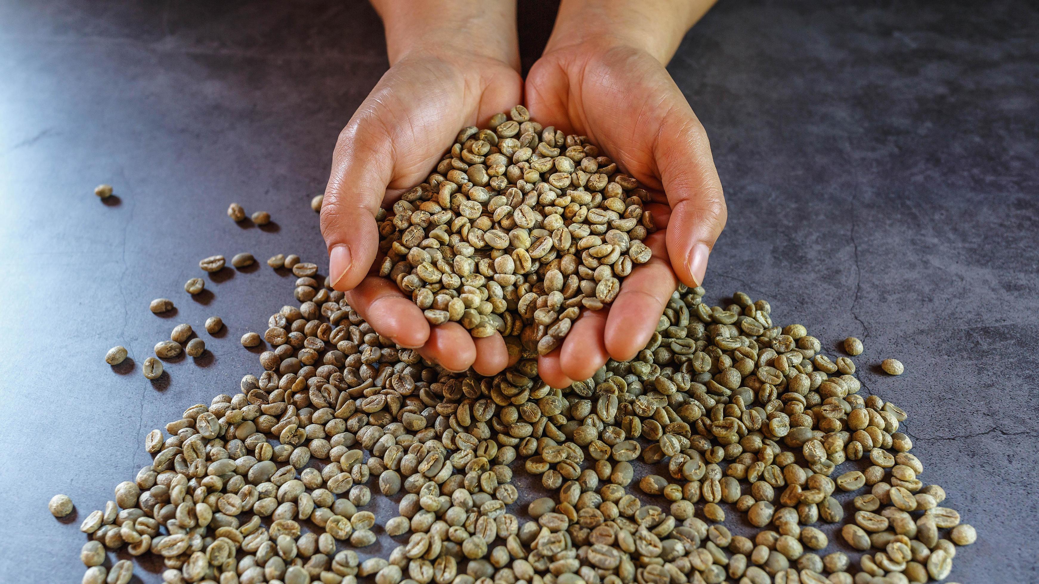 Organic green coffee beans in hand 9262605 Stock Photo at Vecteezy