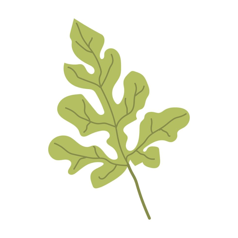 Vector illustration of a leaf of watermelon