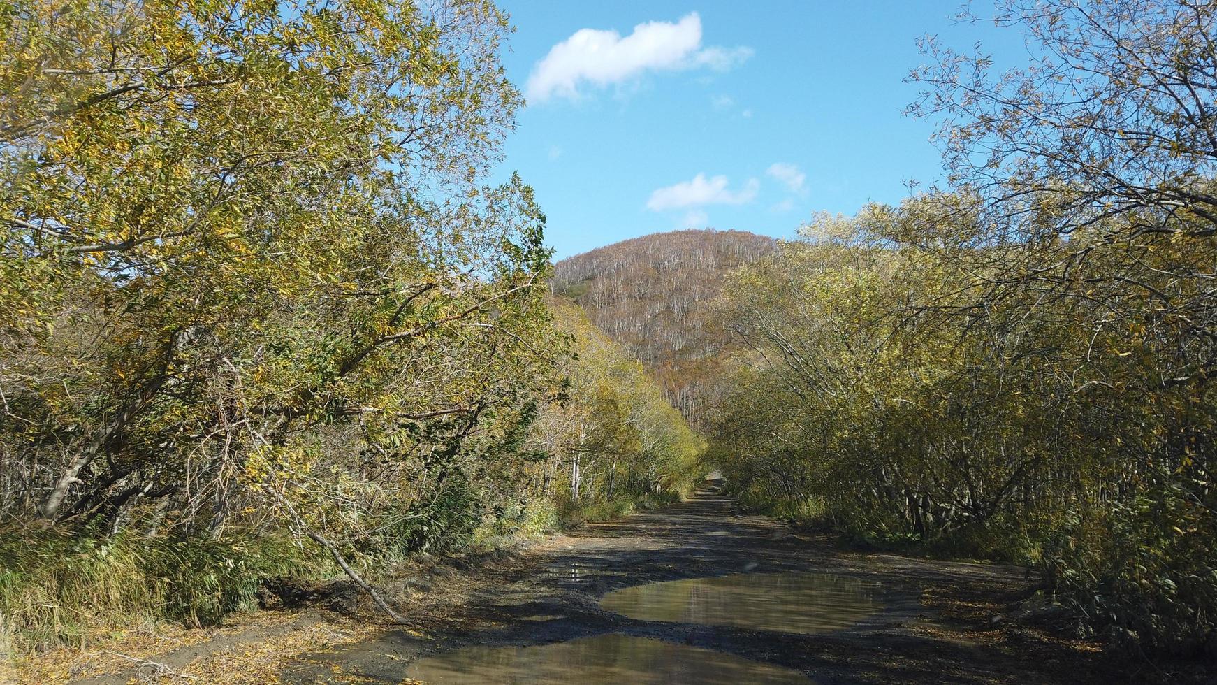 Landscape overlooking a country road in Petropavlovsk-Kamchatsky, Russia photo