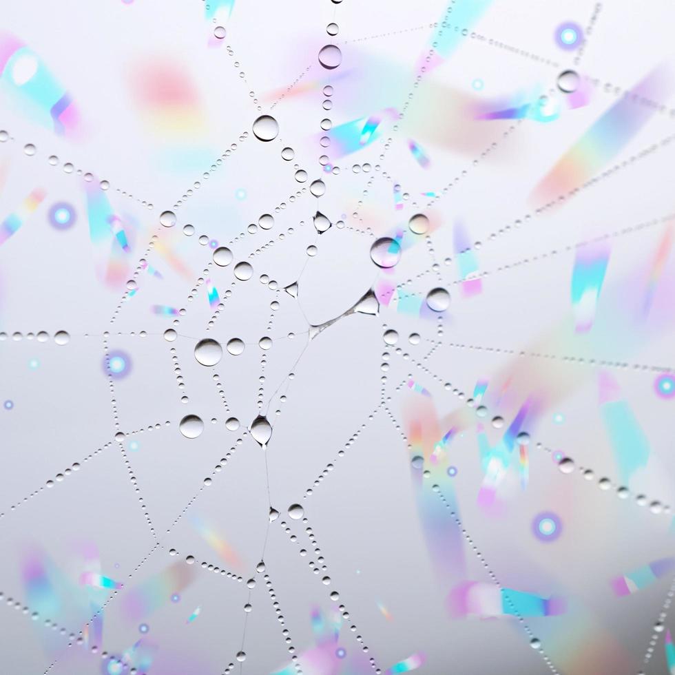 drops on the spider web in rainy season, abstract background photo