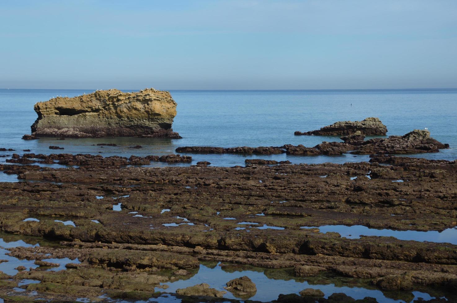Low tide, Biarritz Biscay photo