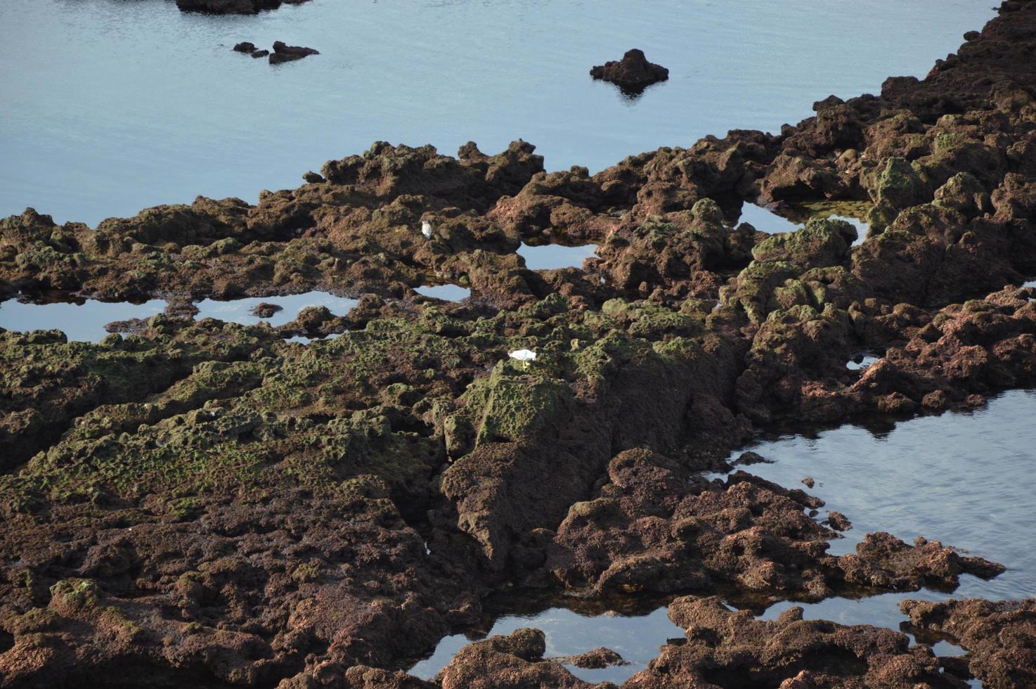 Low tide, Biarritz Biscay photo