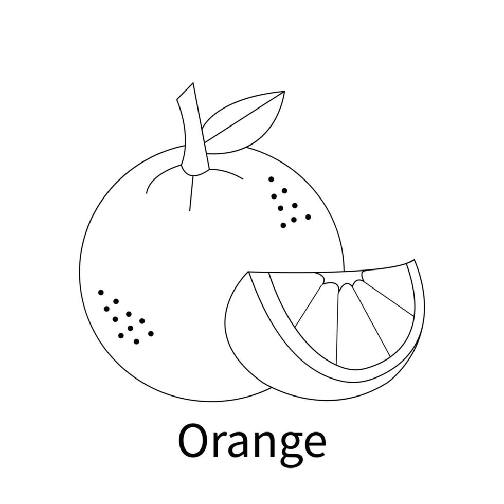 Easy Fruits Coloring Pages for kids and toddler orange vector