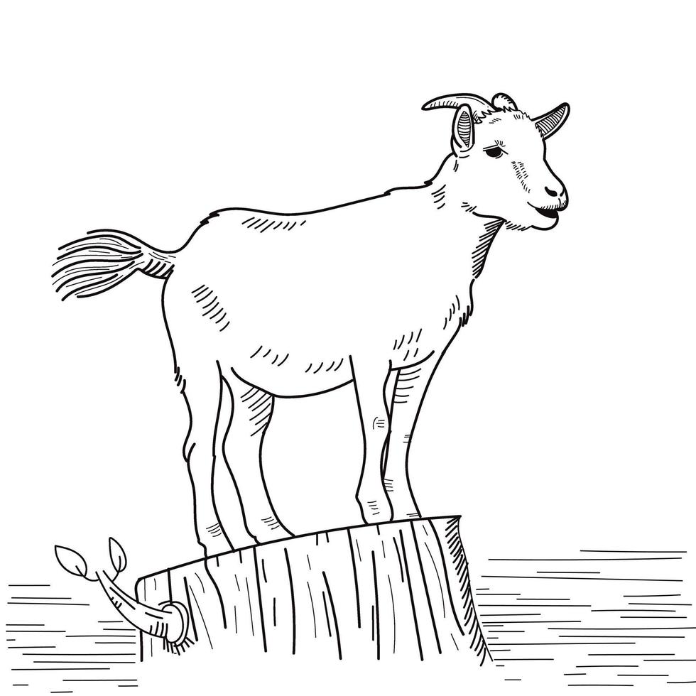 goat vector eid adha goat line art