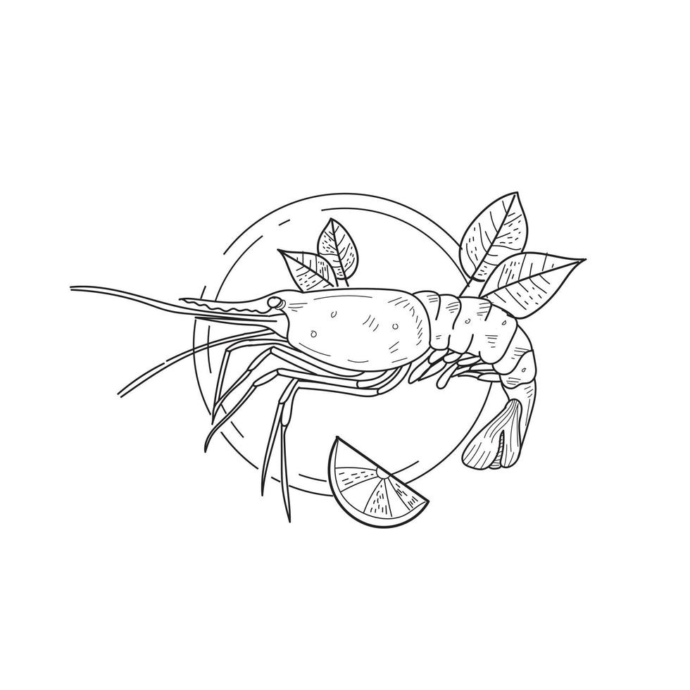 shrimp sea food vector