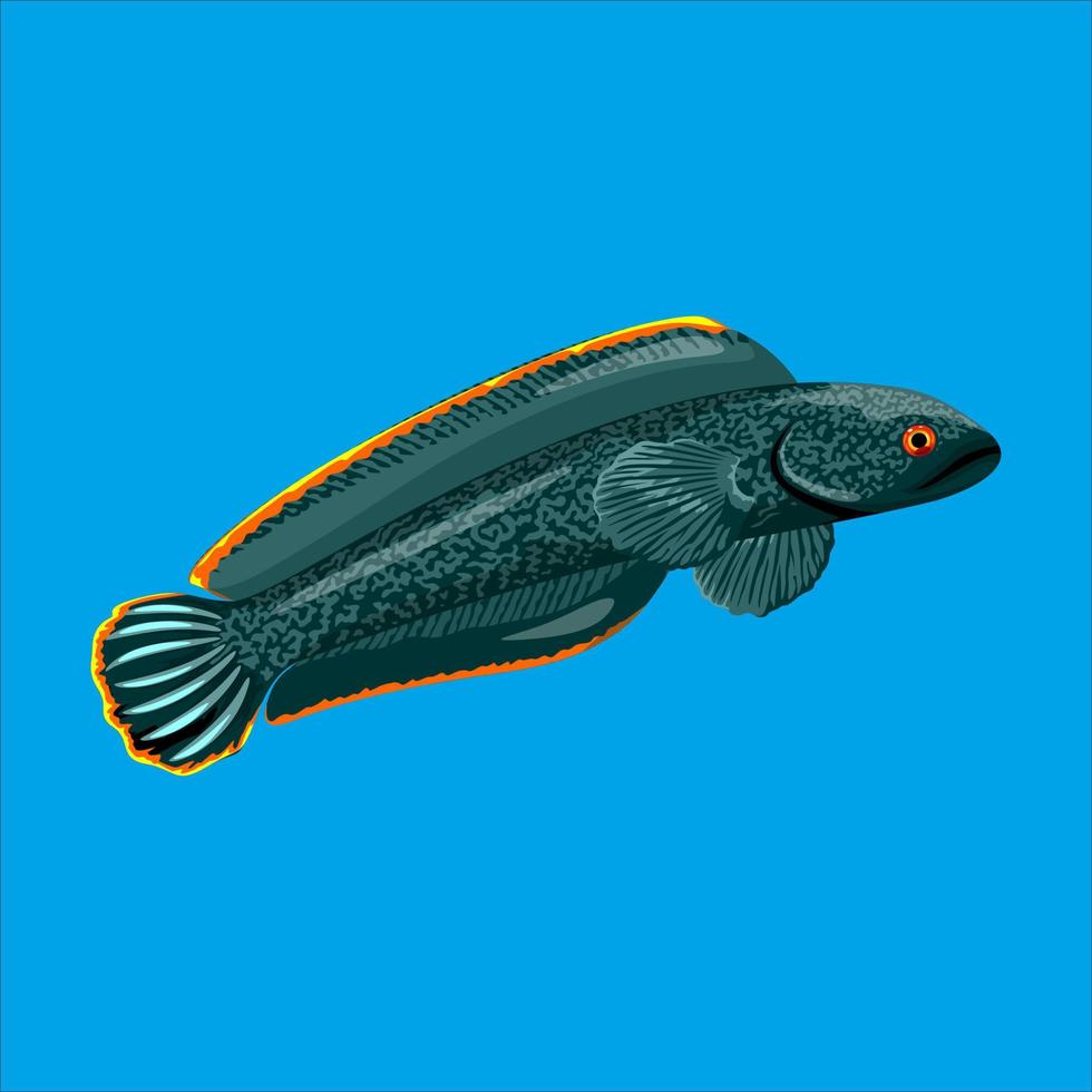 channa Snakehead Vectors, Vector Art illustration