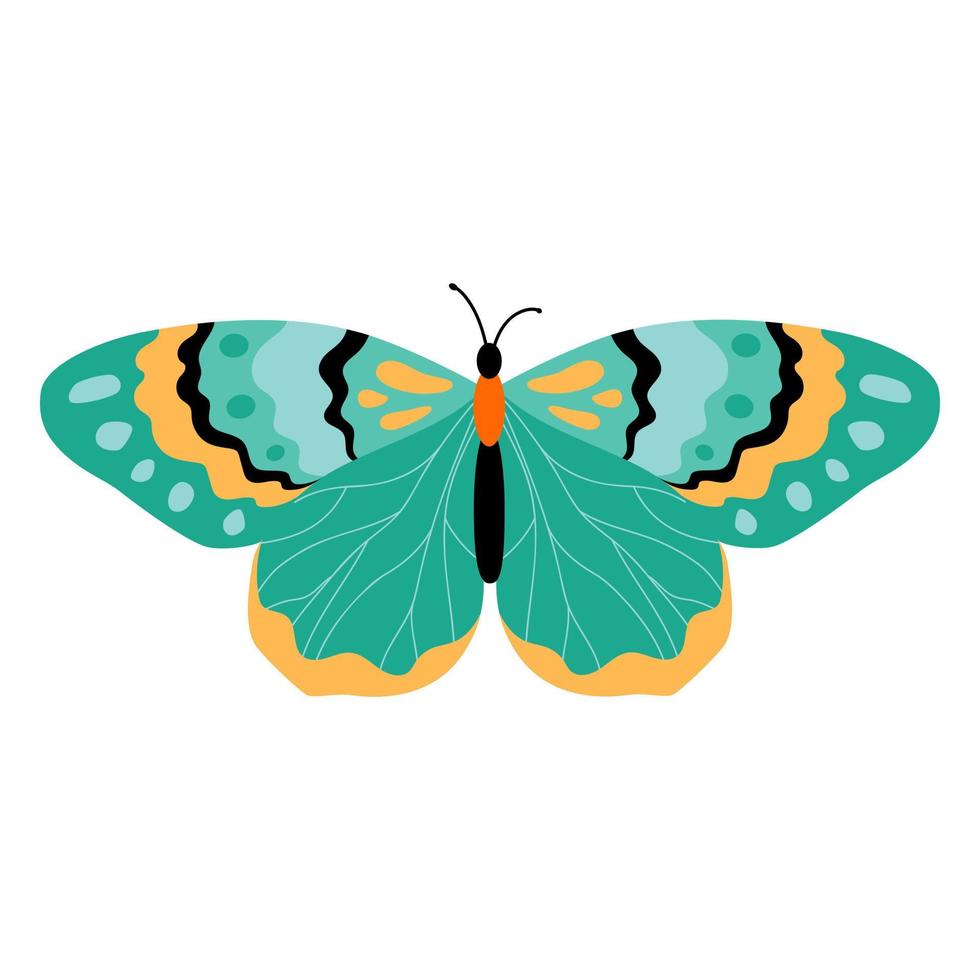 Butterfly vector illustration clipart. Cute Butterfly isolated.