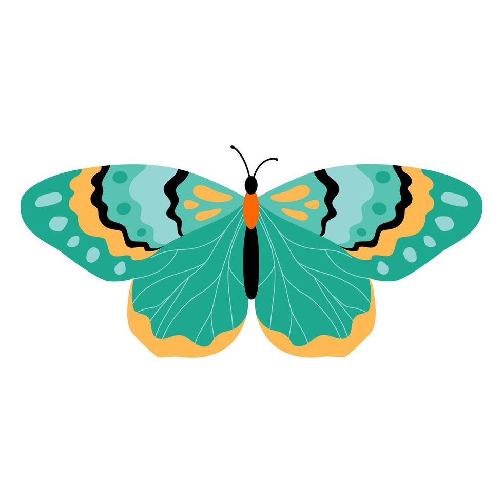 clipart de ilustración de vector de mariposa. linda mariposa aislada.