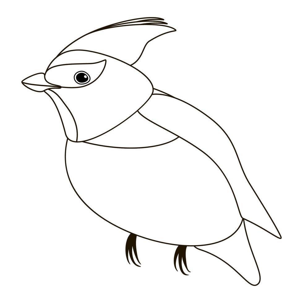 pájaro lindo de línea, estilo de coloración aislado sobre fondo blanco, vector de señal.