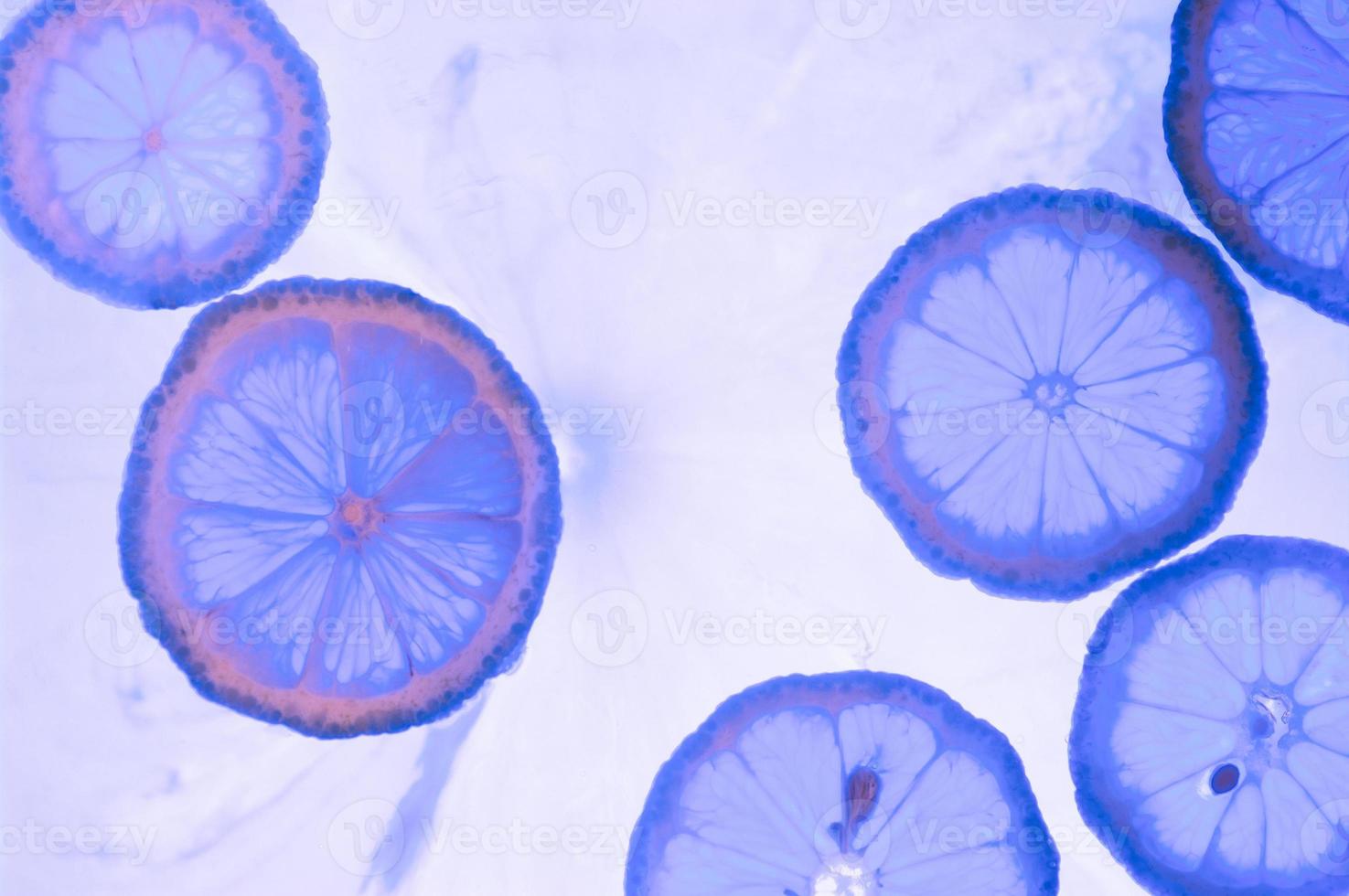 Abstract blue image of lemon slices. Blue lemon background. photo