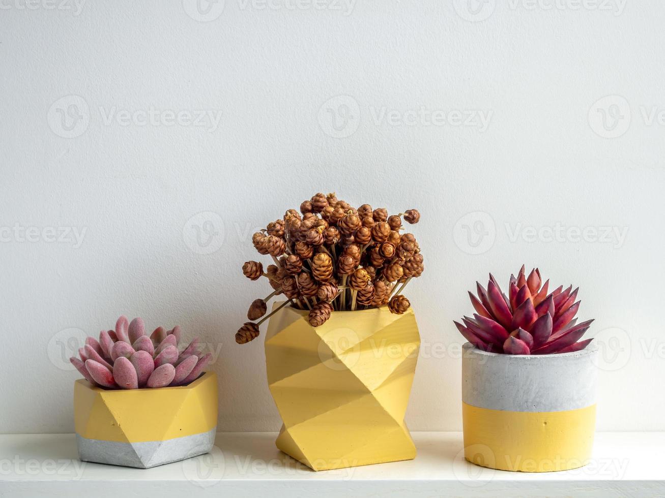 Modern geometric concrete planters. Beautiful painted concrete pots. photo