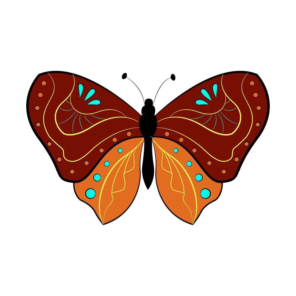 Butterfly exotic winged insect, vector illustration. Colored butterfly with large wings
