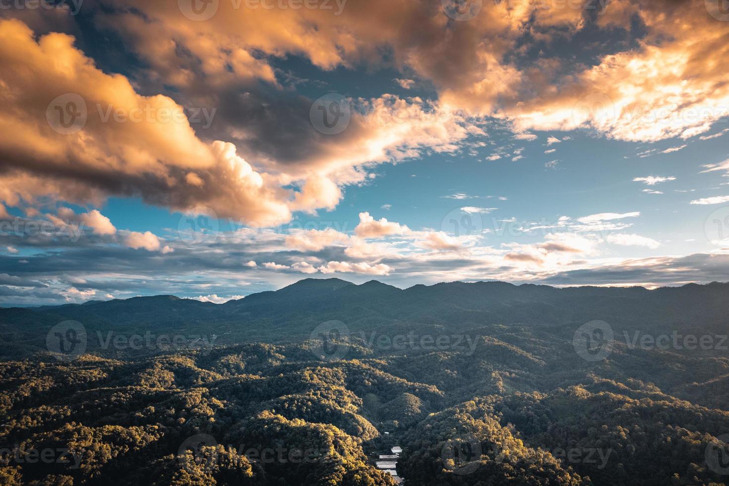 mountains and green trees in the evening photo