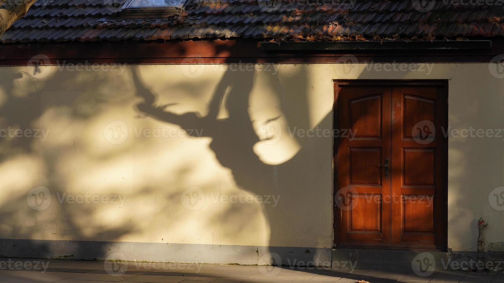 The beautiful old buildings view located in Shanghai under the warm sunlight in autumn photo