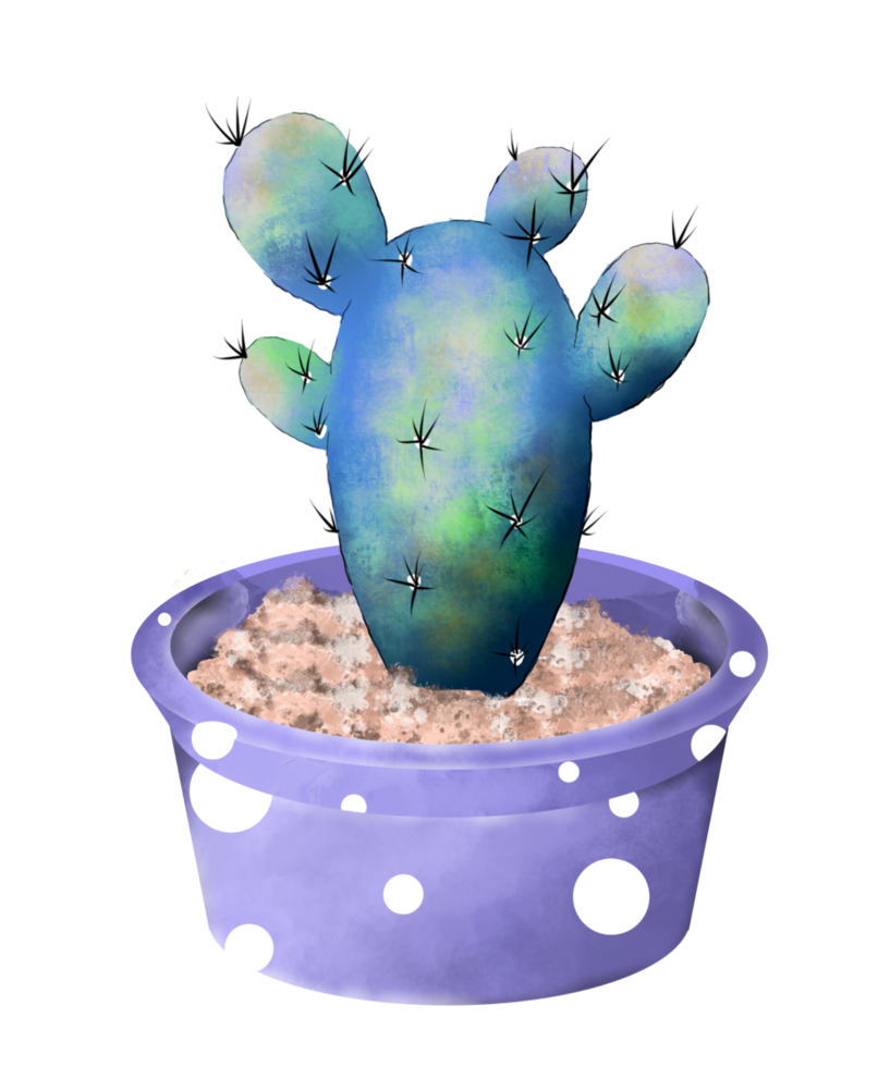 cactus acuarela en maceta png