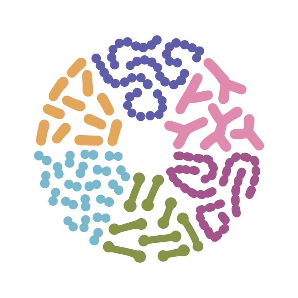 Probiotic bacteria types set in circle shape. Good microbiota with healthy prebiotic bacillus. Lactobacillus, streptococcus, bifidobacteria and other microorganisms. simple vector elements