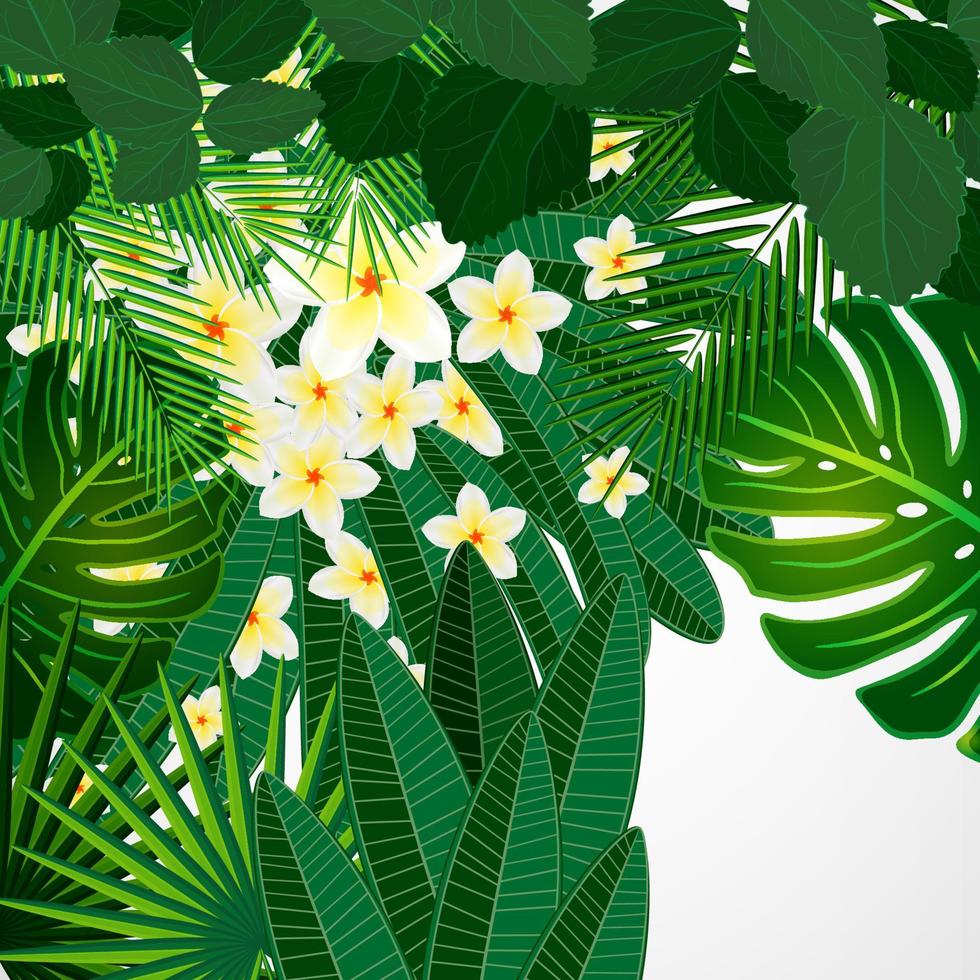 Eps10 Floral design background. Plumeria flowers and tropical leaves. vector