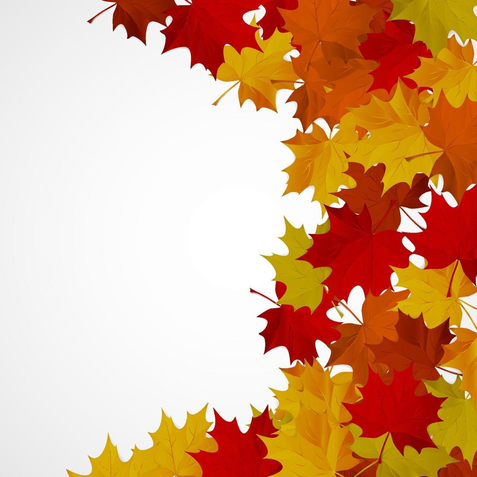 Abstract background with autumn colorful leaves. vector