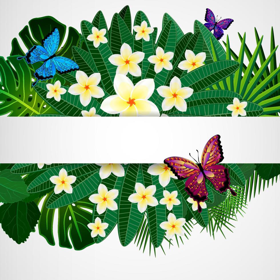 Floral design background. Plumeria flowers, tropical leaves and butterflies. vector