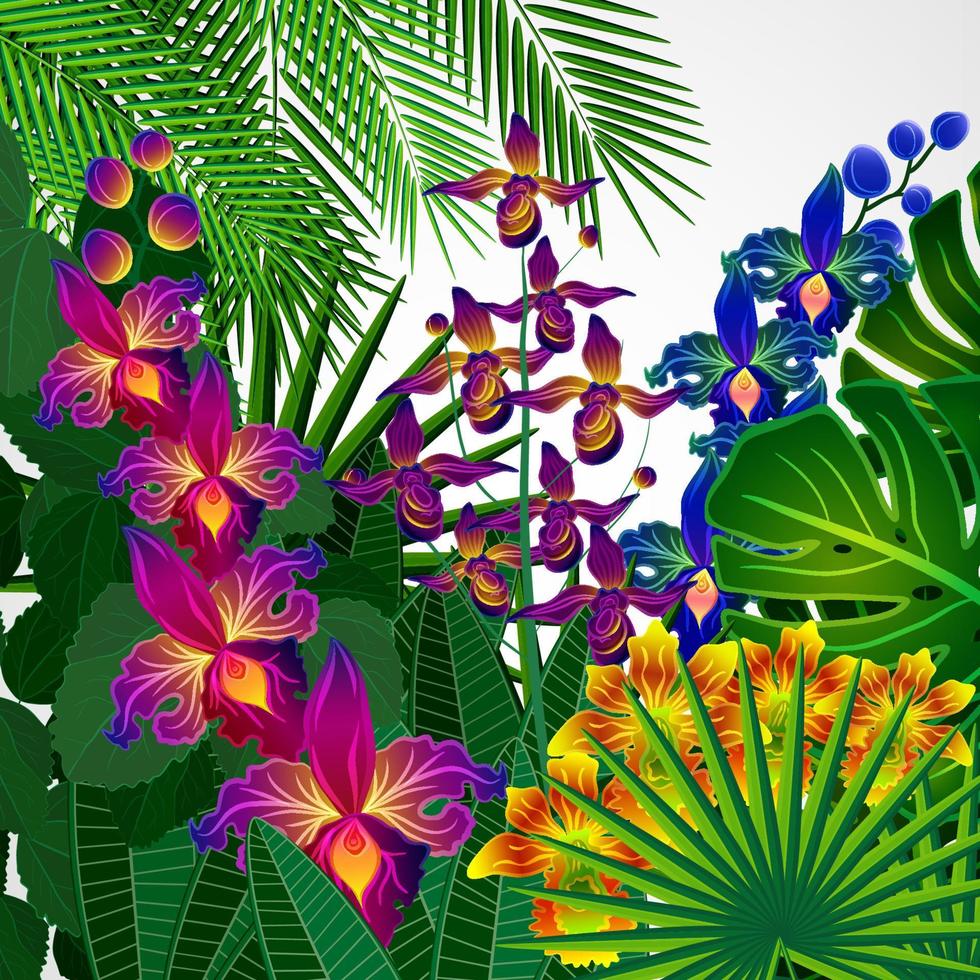 Tropical flowers and leaves. Floral design background. vector