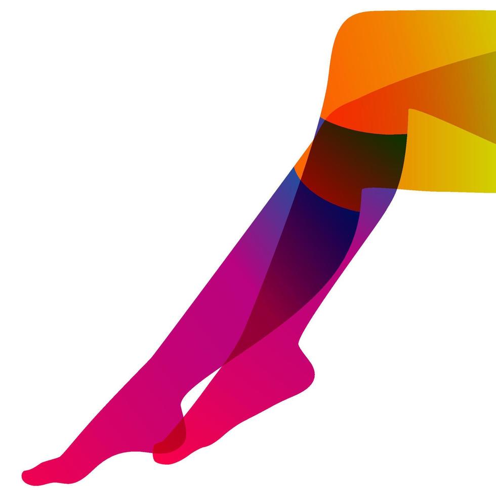 Long and slim female legs in knee socks on white background, vector illustration.