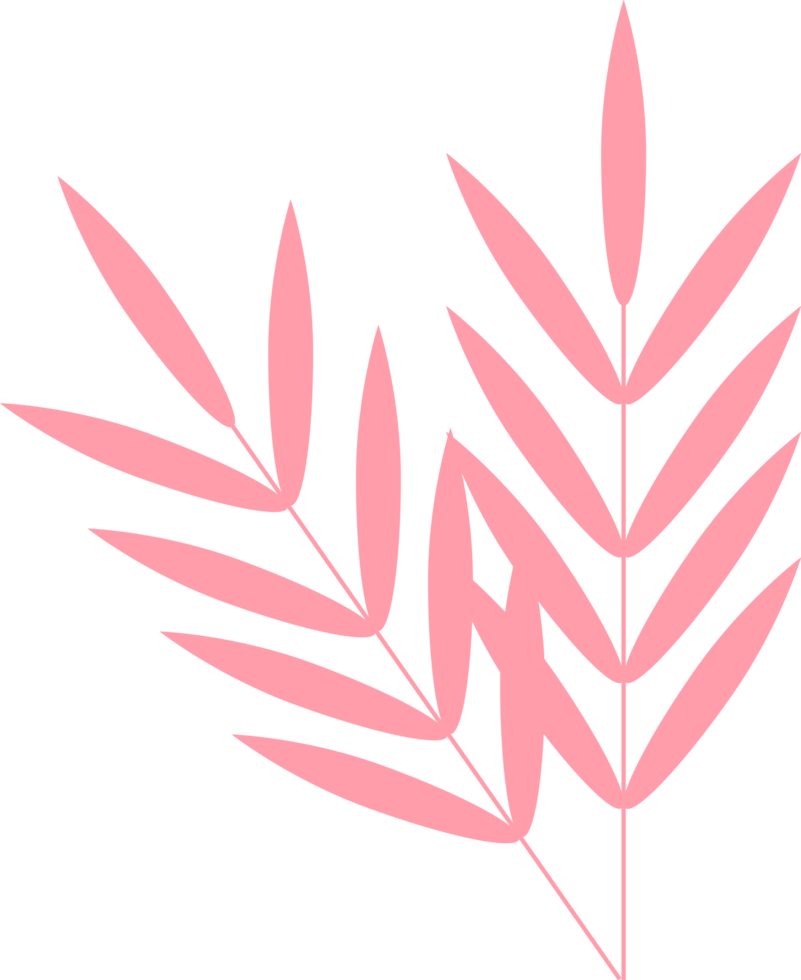 leaf icon design png