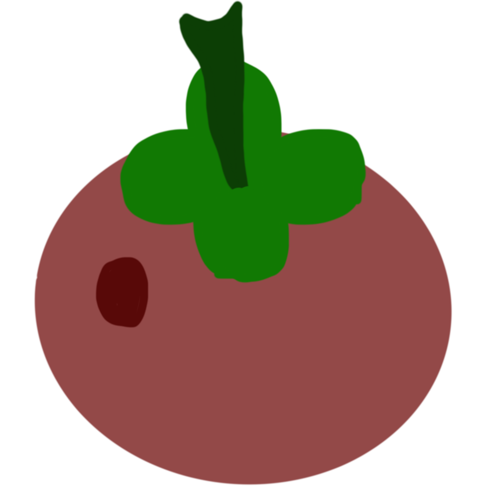 mangostan ikon design png