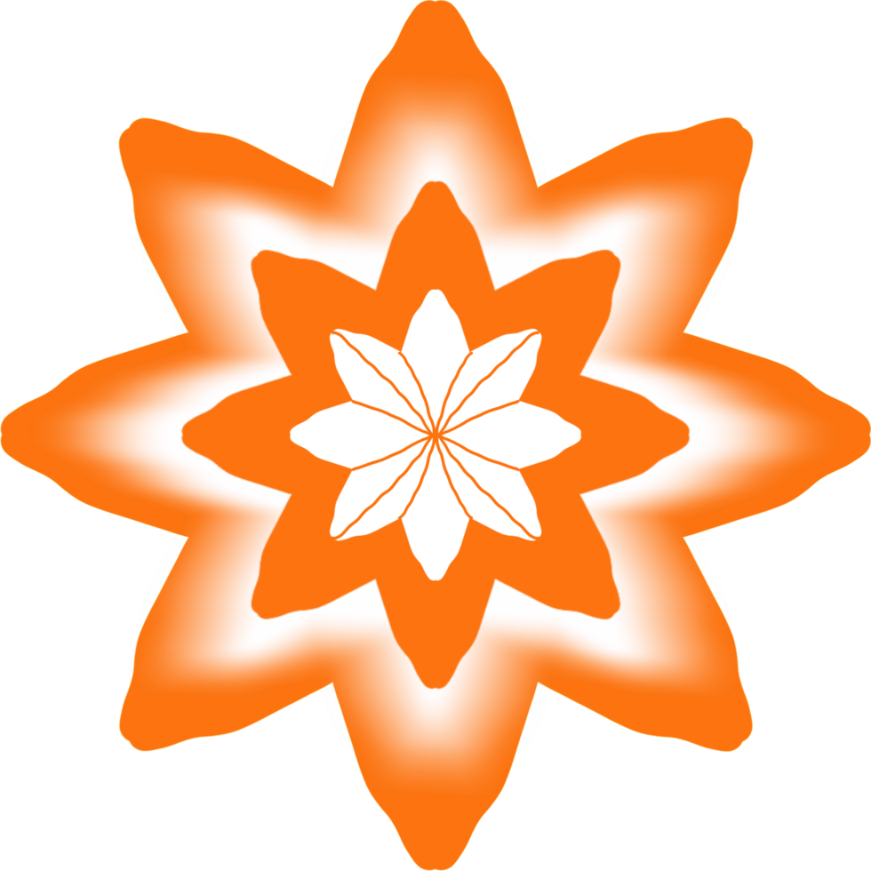 étoile avec fleur png