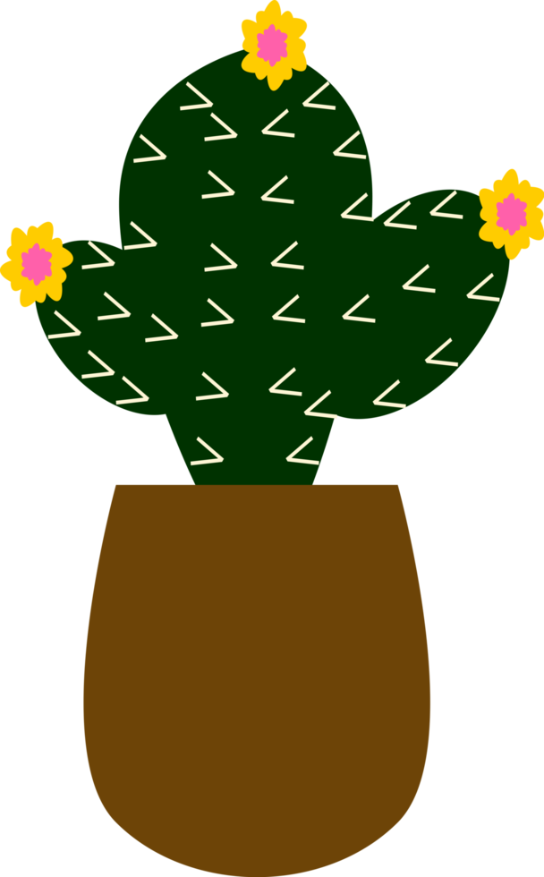 cactus in a pot png