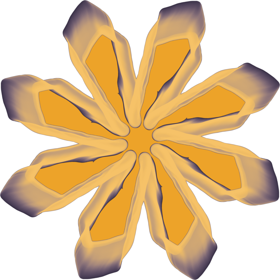 conception de fleur de mandala png