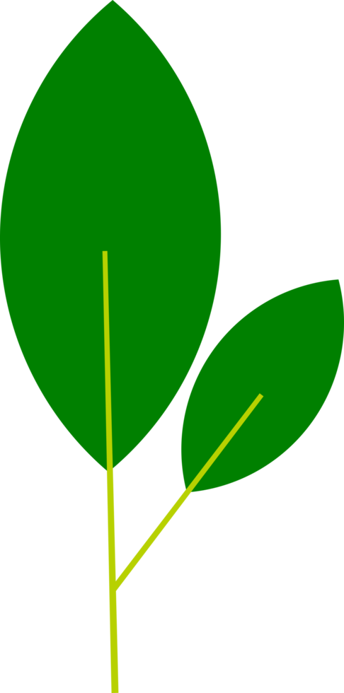 leaf icon element png