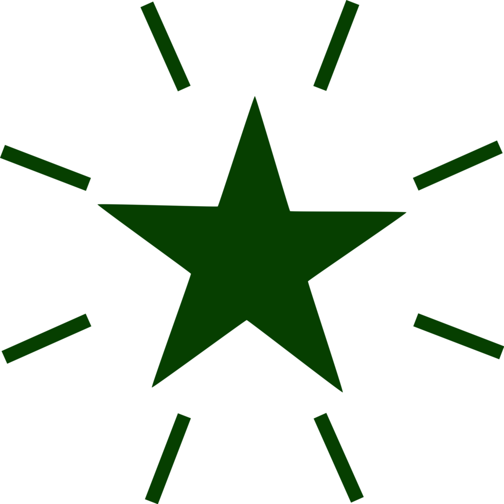 Stern-Icon-Design png