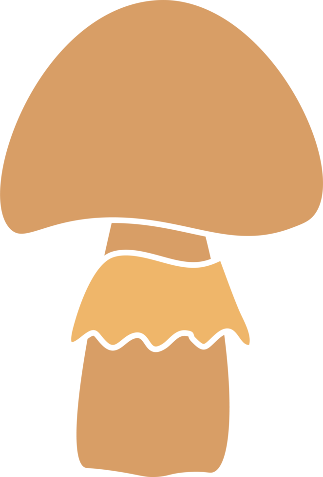 isolated illustration of different mushroom patterns nature illustration png